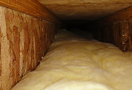 Crawl Space Cleaning